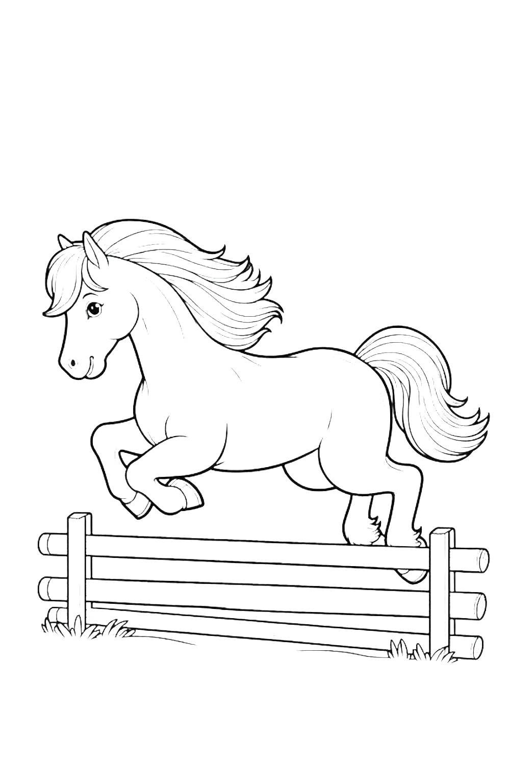 Color Page Of A Horse