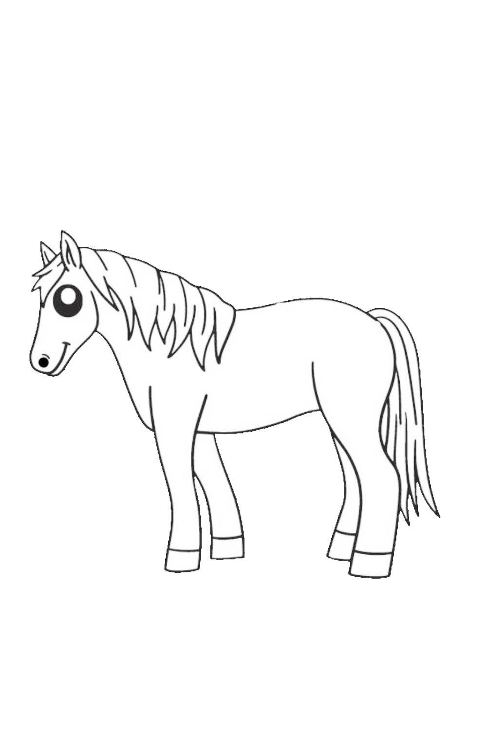 Color Sheet Horse