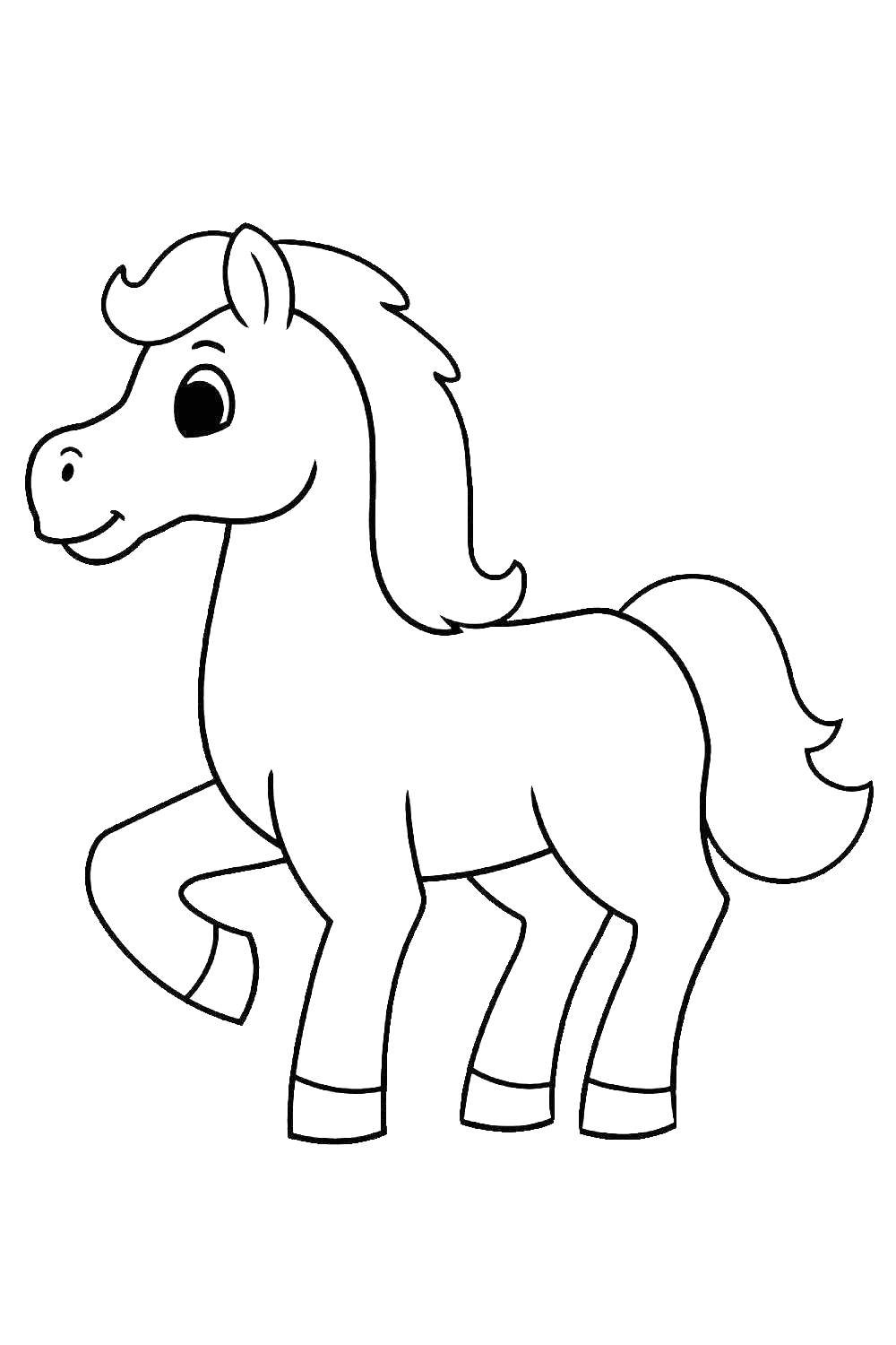 Coloring Book Pages Horses