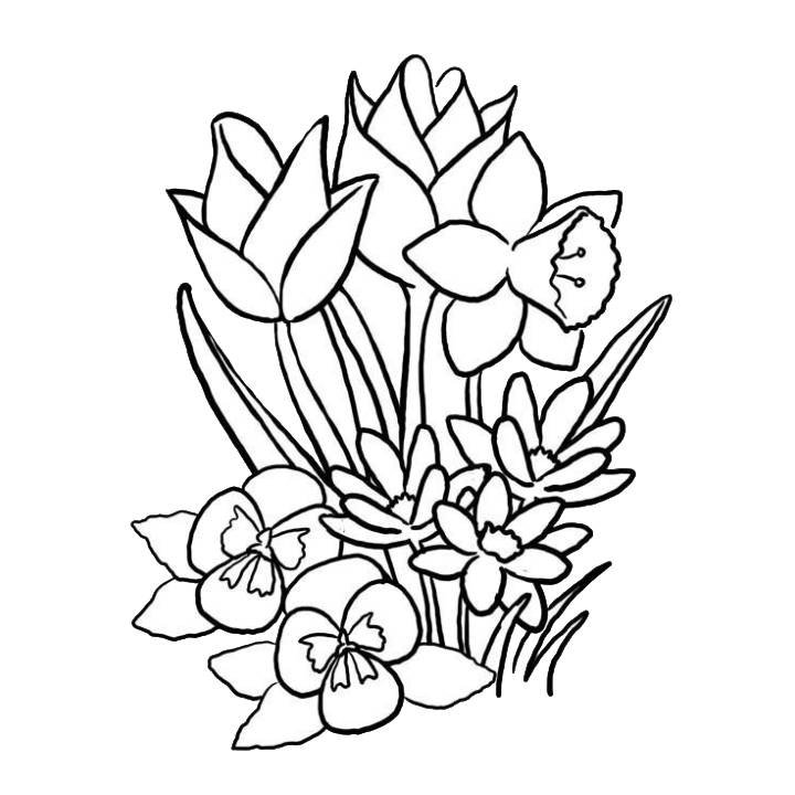 Coloring Page Spring Flowers Coloring Page Spring Flowers Coloring Page