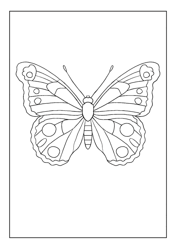 American Lady Butterfly