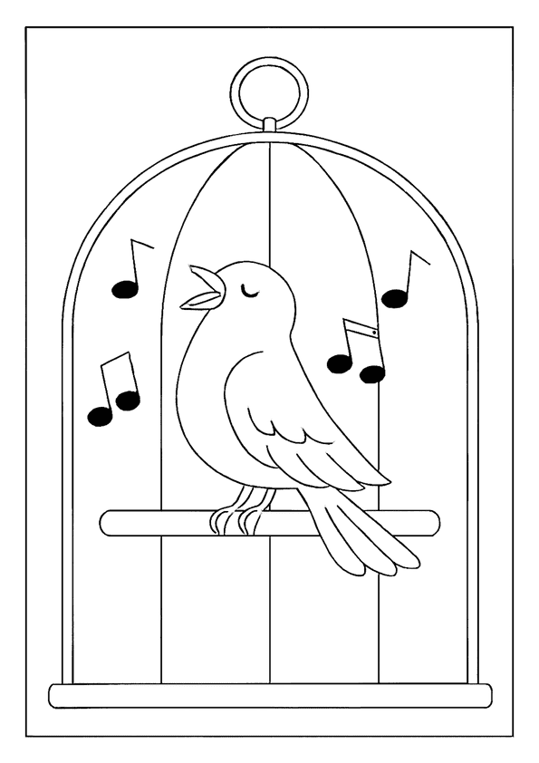 Canary Singing In Cage