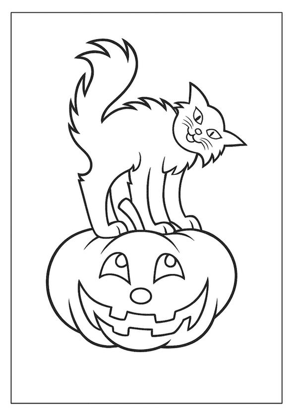 Charming Halloween Cat On Pumpkin