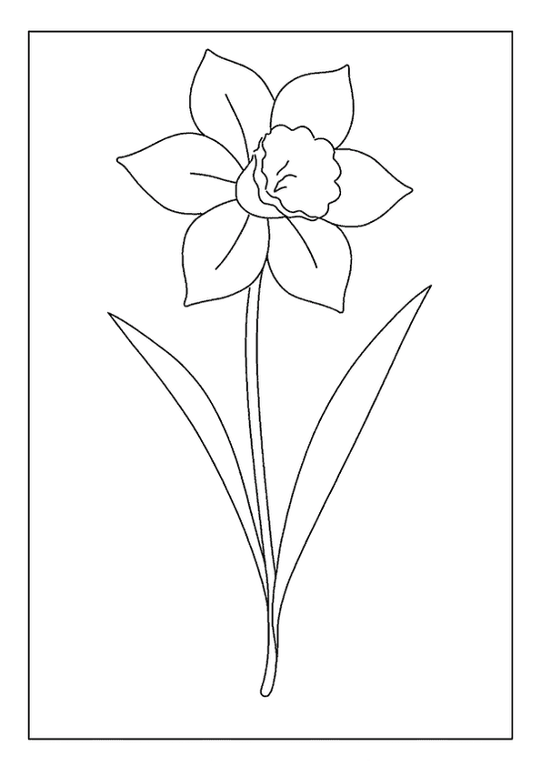 Cheerful Daffodil Bloom Design