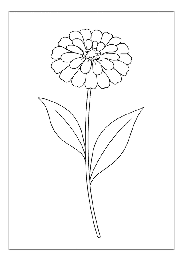 Cheerful Zinnia Bloom Page