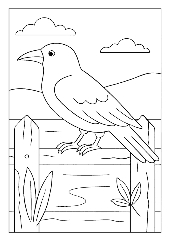 Crow Sitting On Fence