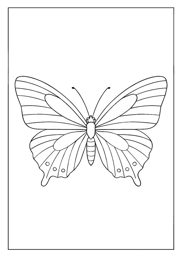 Cute Easy Butterfly