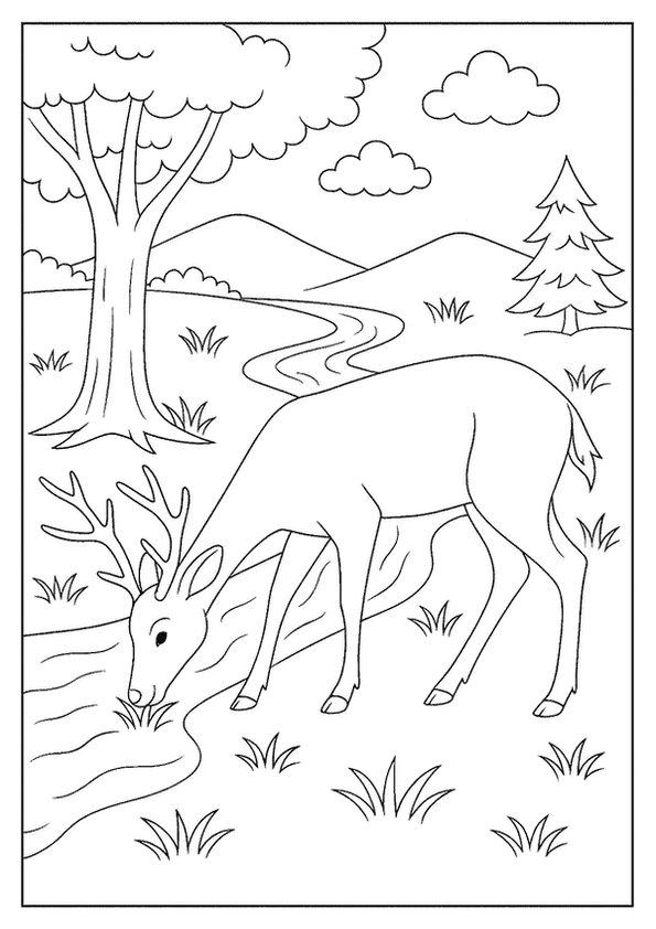 Deer Grazing Beside Stream