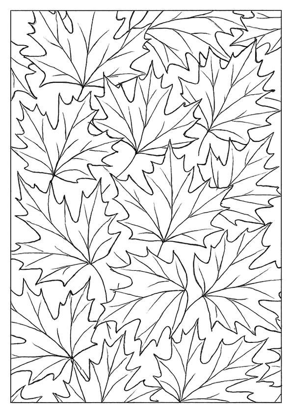 Dense Maple Leaf Pattern