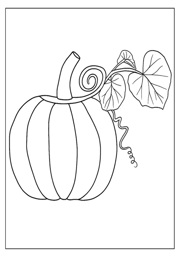 Detailed Pumpkin Leaf Design