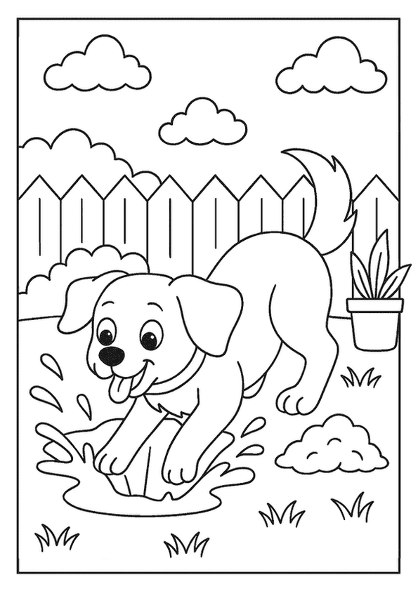 Dog Digging Backyard Hole