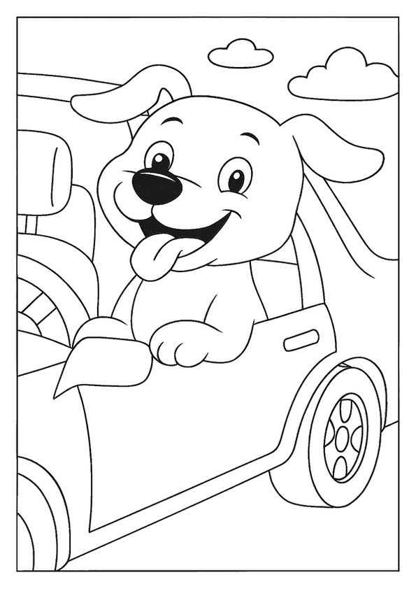 Dog Riding In Car