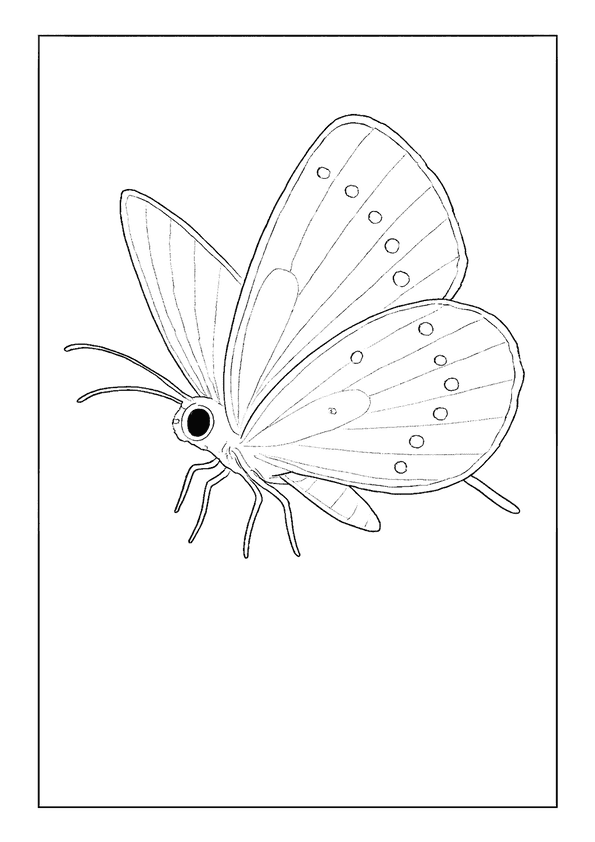 Eastern Tailed-Blue Butterfly