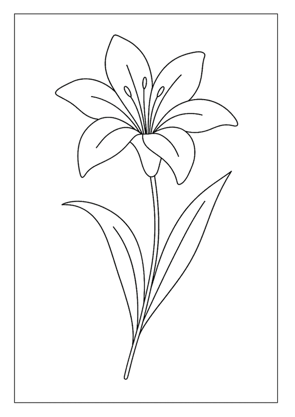 Elegant Lily Bloom Illustration