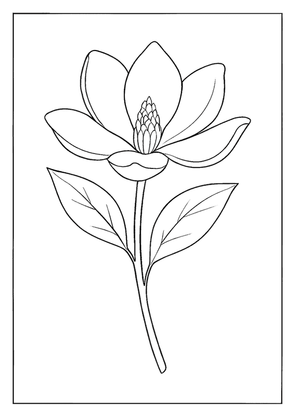 Elegant Magnolia With Leaves