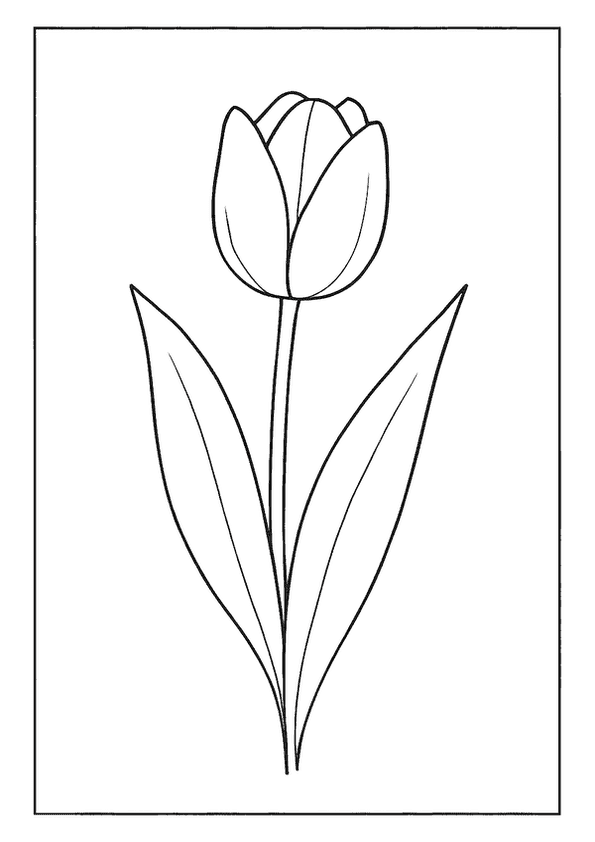 Elegant Tulip Bloom