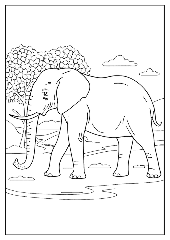 Elephant Walks Through Savannah
