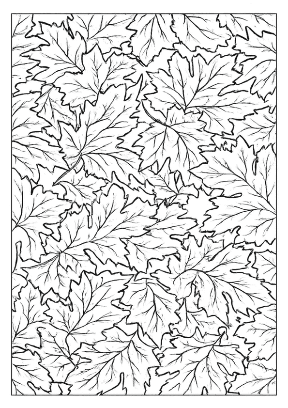 Geometric Flower Grid Pattern
