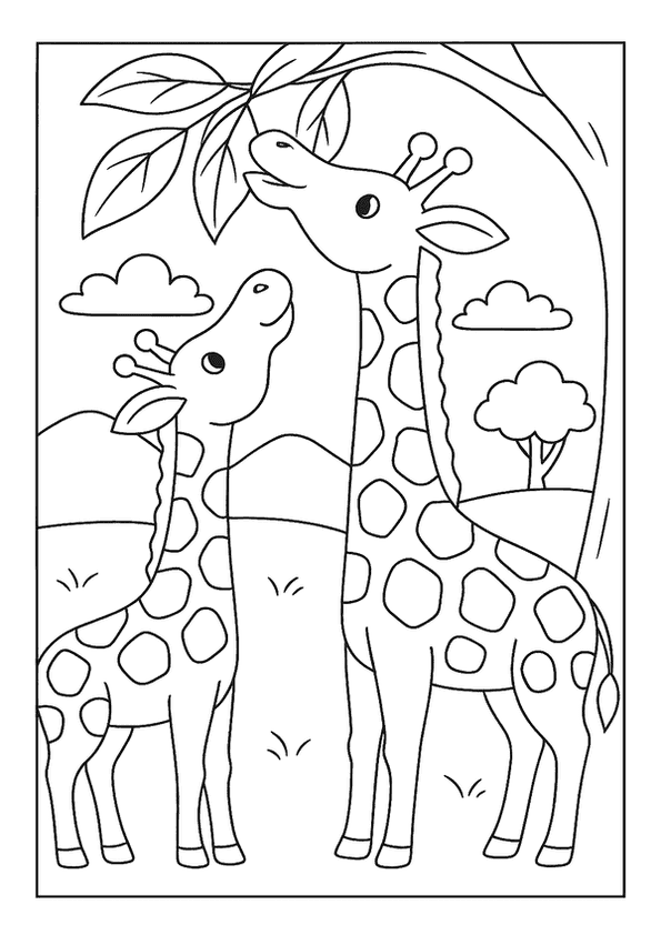 Giraffes Reaching Tall Leaves