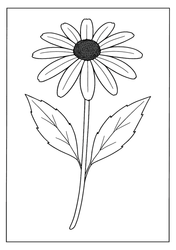 Happy Black-Eyed Susan Flower