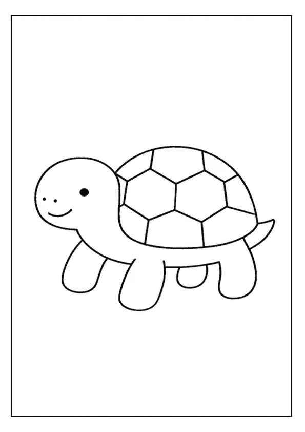 Happy Turtle Outline Sheets