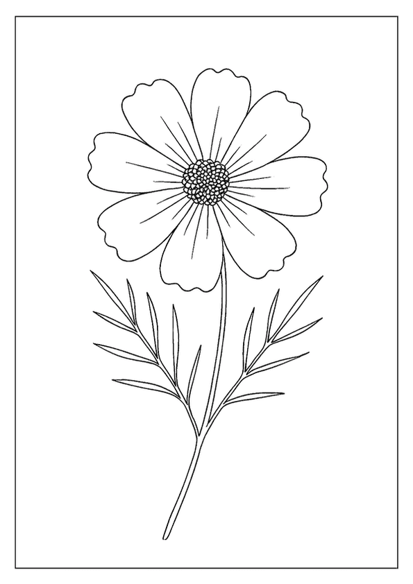 Lovely Cosmos Floral Page
