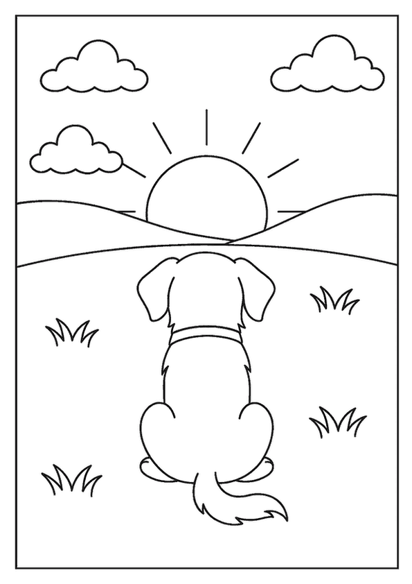 Loyal Dog Watching Sunset