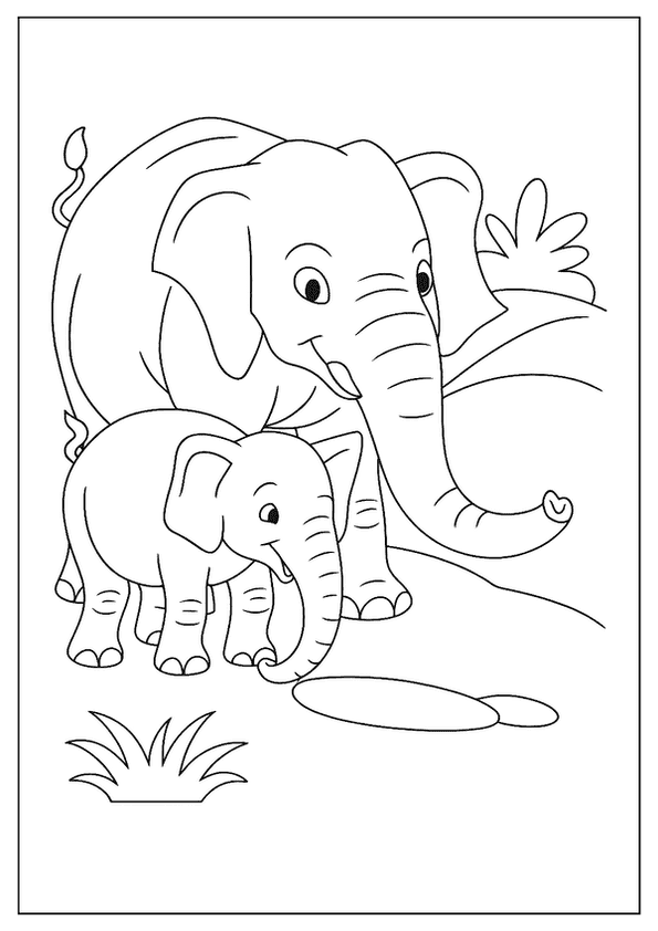 Mother And Baby Elephant