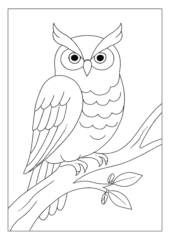 Owl Perched On Limb
