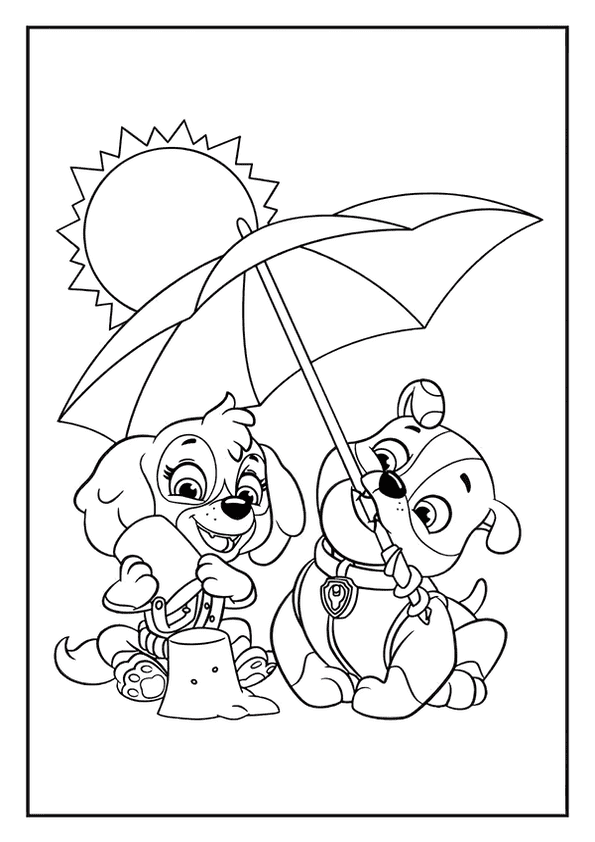 Paw Patrol Beach Day