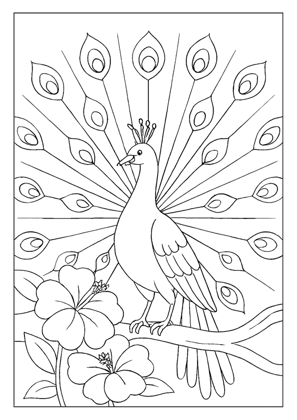 Peacock Displaying Its Feathers