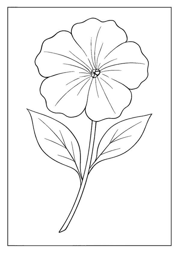 Petunia Trumpet Bloom Sketch