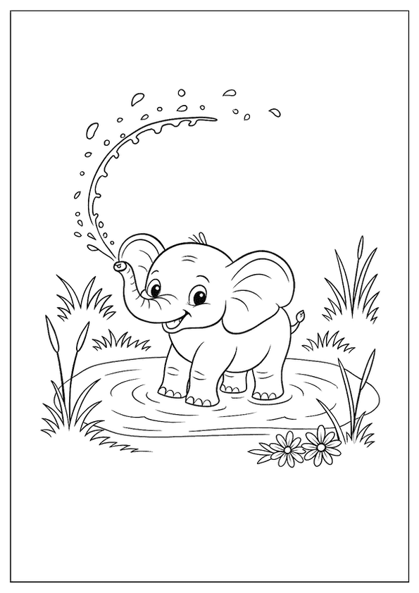 Playful Baby Elephant Splash