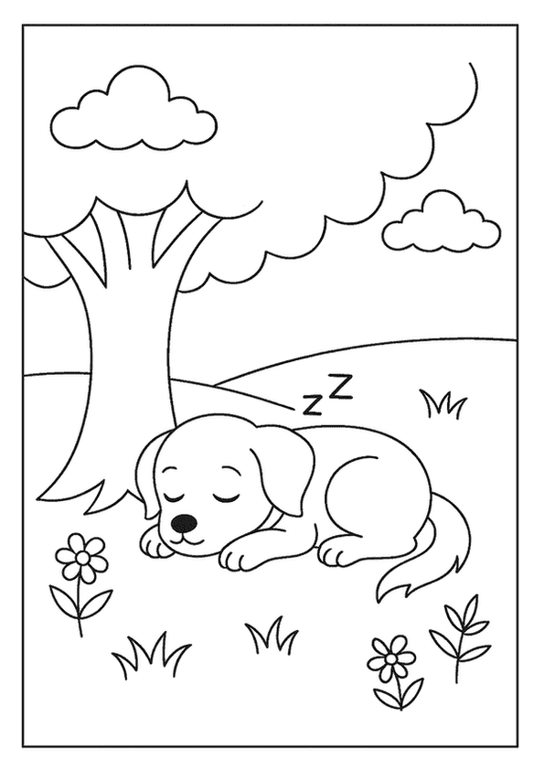 Puppy Nap Under Tree