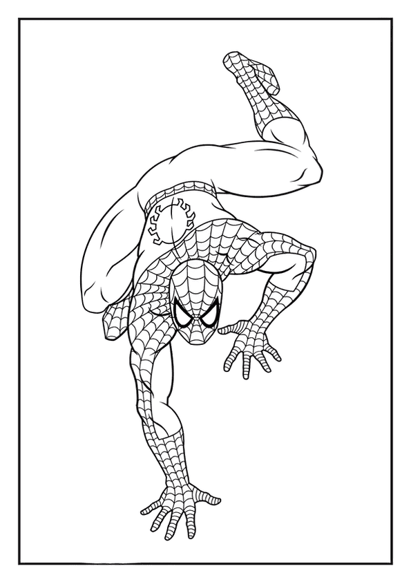 Spider-Man Ready While Hanging