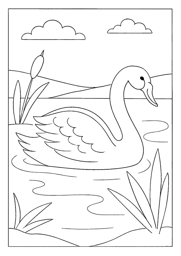 Swan Gliding On Lake