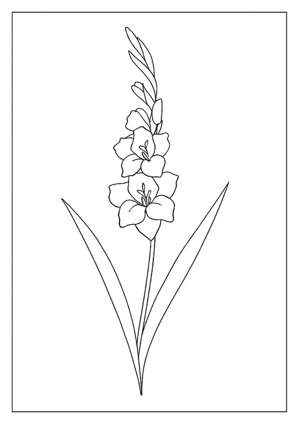 Tall Gladiolus Bloom Sheet