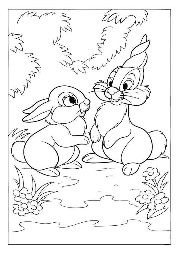 Thumper With Bunny Sister