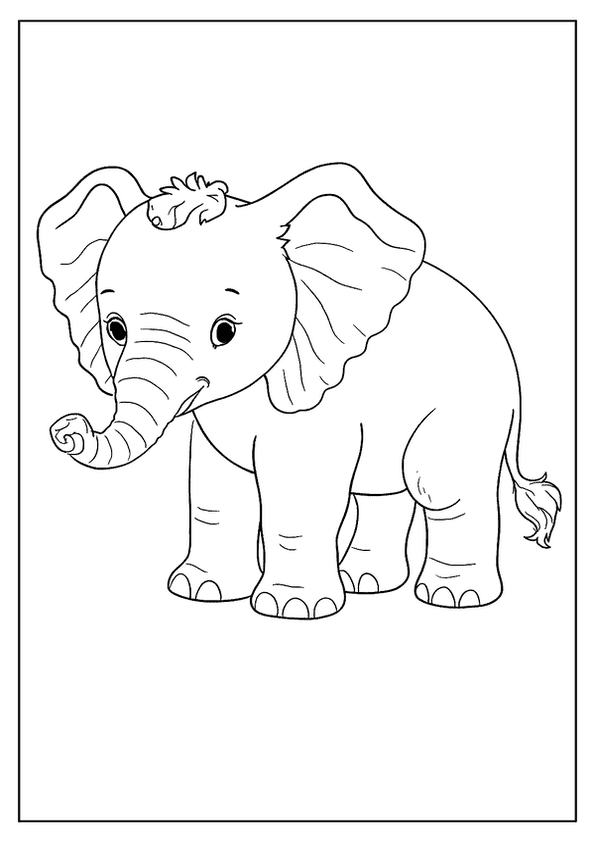 Young Elephant With Tuft