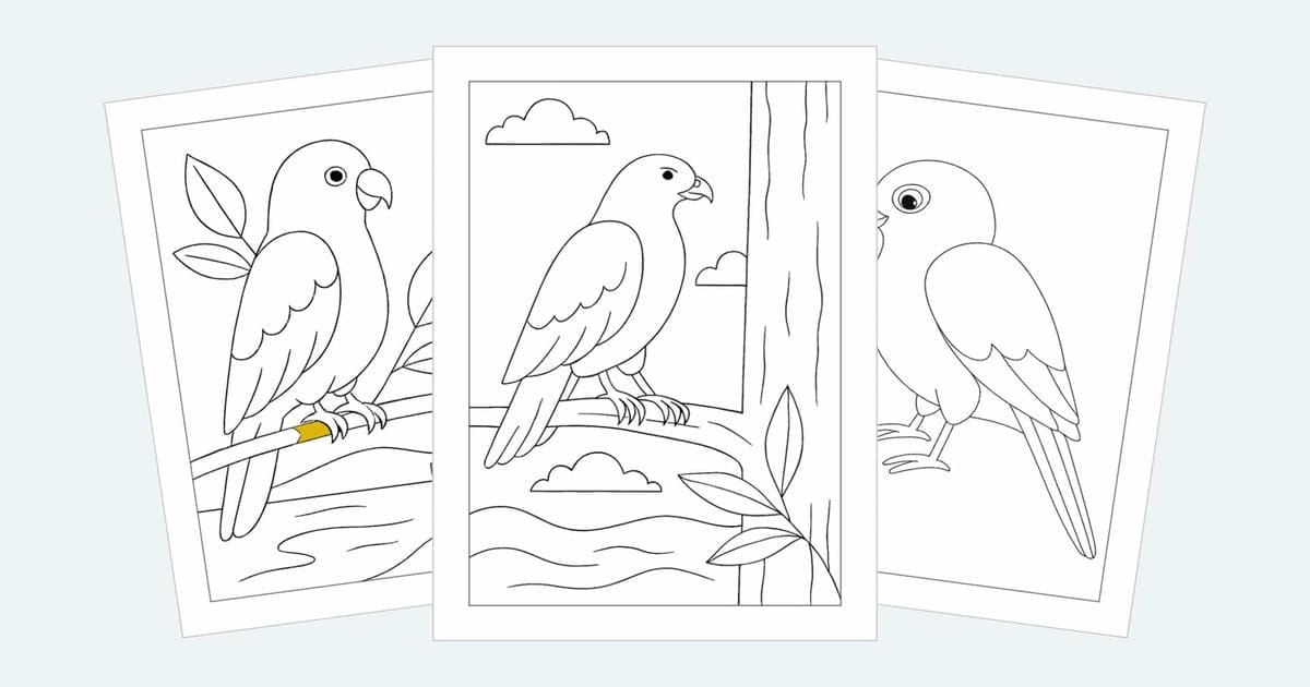 Bird Coloring Pages (Free PDF Printables)
