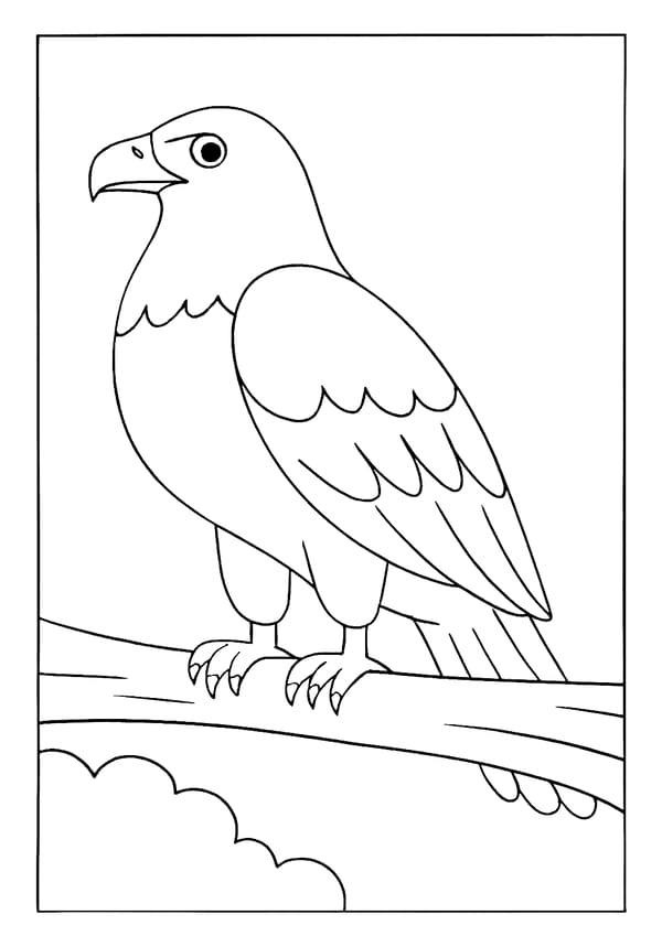 Bird Coloring Pages