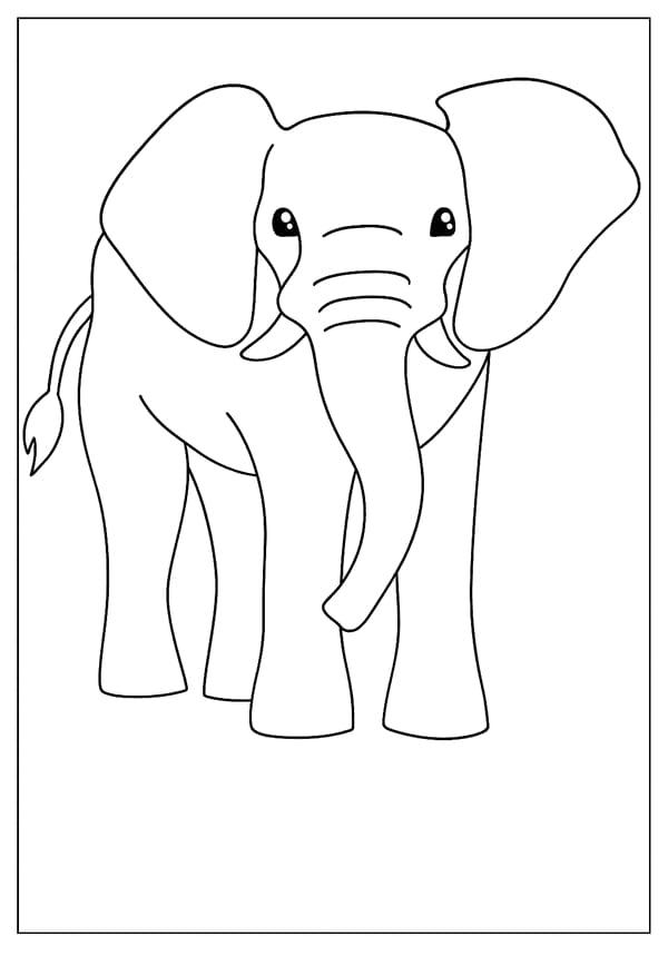 Elephant Coloring Pages