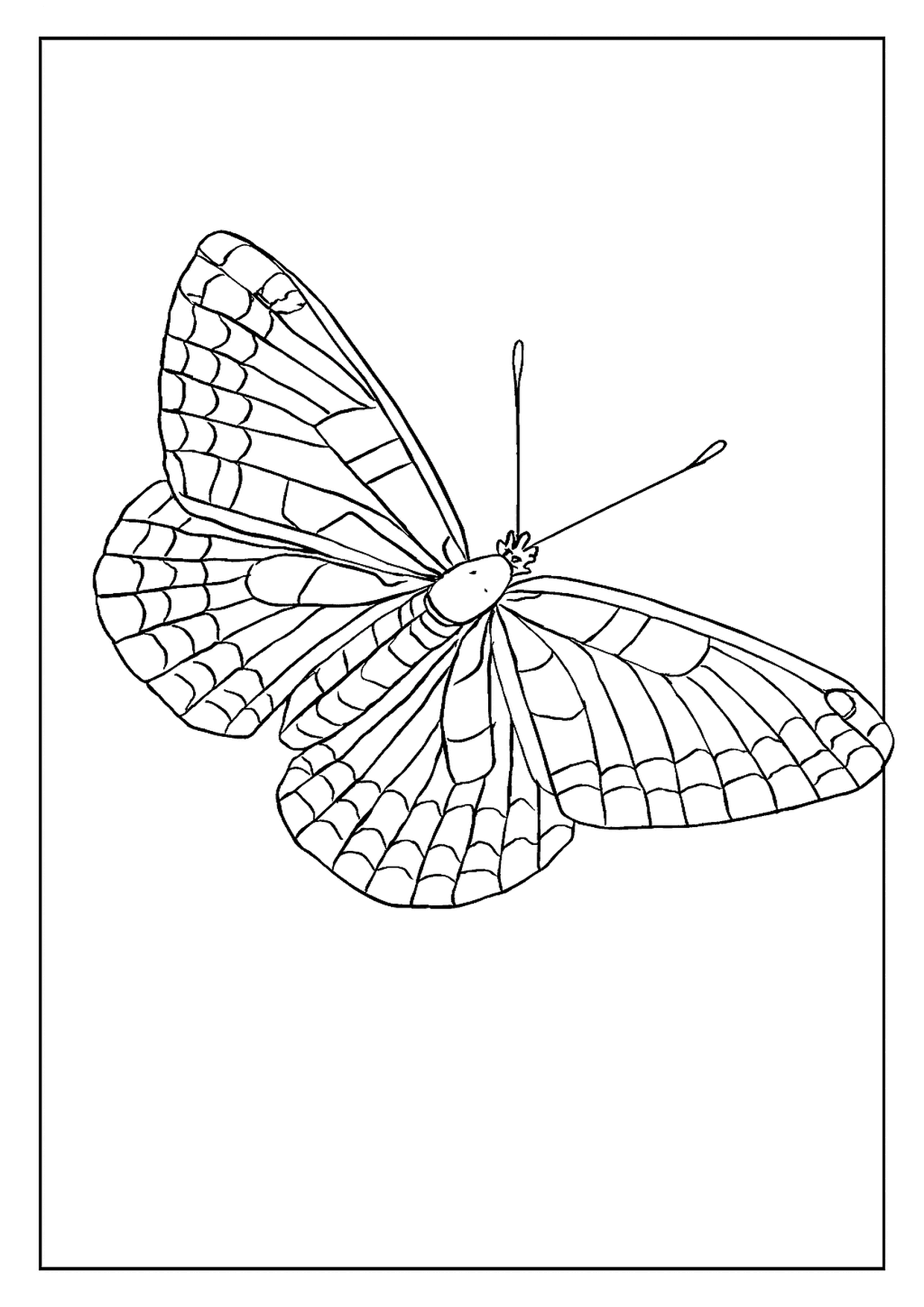 An Angled Baltimore Checkerspot Butterfly Coloring Page View With Cool Mosaic Sections On Its Wings.