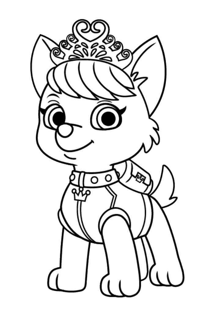 birthday paw patrol coloring page coloring page