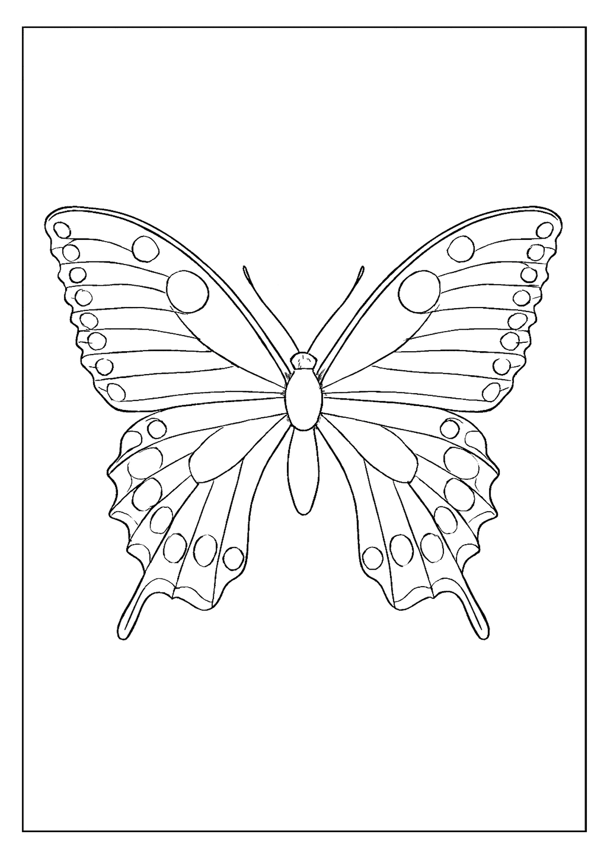A Grand Black Swallowtail Butterfly Coloring Page With A Series Of Circles On The Wing's Border.