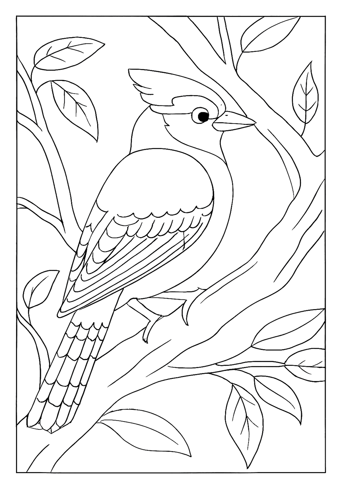 Blue Jay In Tree Activity Sheet A detailed wildlife coloring sheet of a Blue Jay nestled between tree branches.
