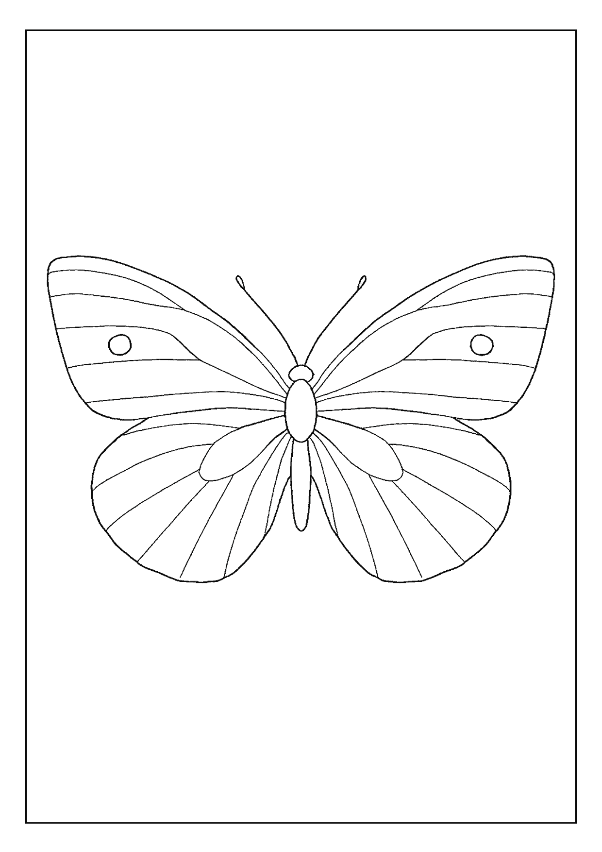 A Clean Cabbage White Butterfly Coloring Page With Bold Segments And Simple, Clear Oval Spots.