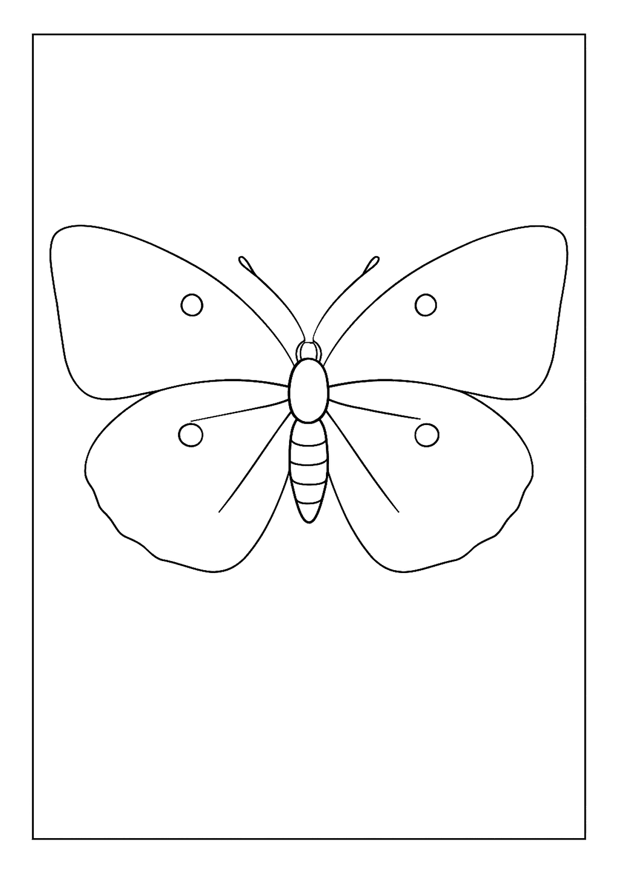 An Unadorned Clouded Sulphur Butterfly Coloring Page With Four Plain, Simple Spots On The Wings.