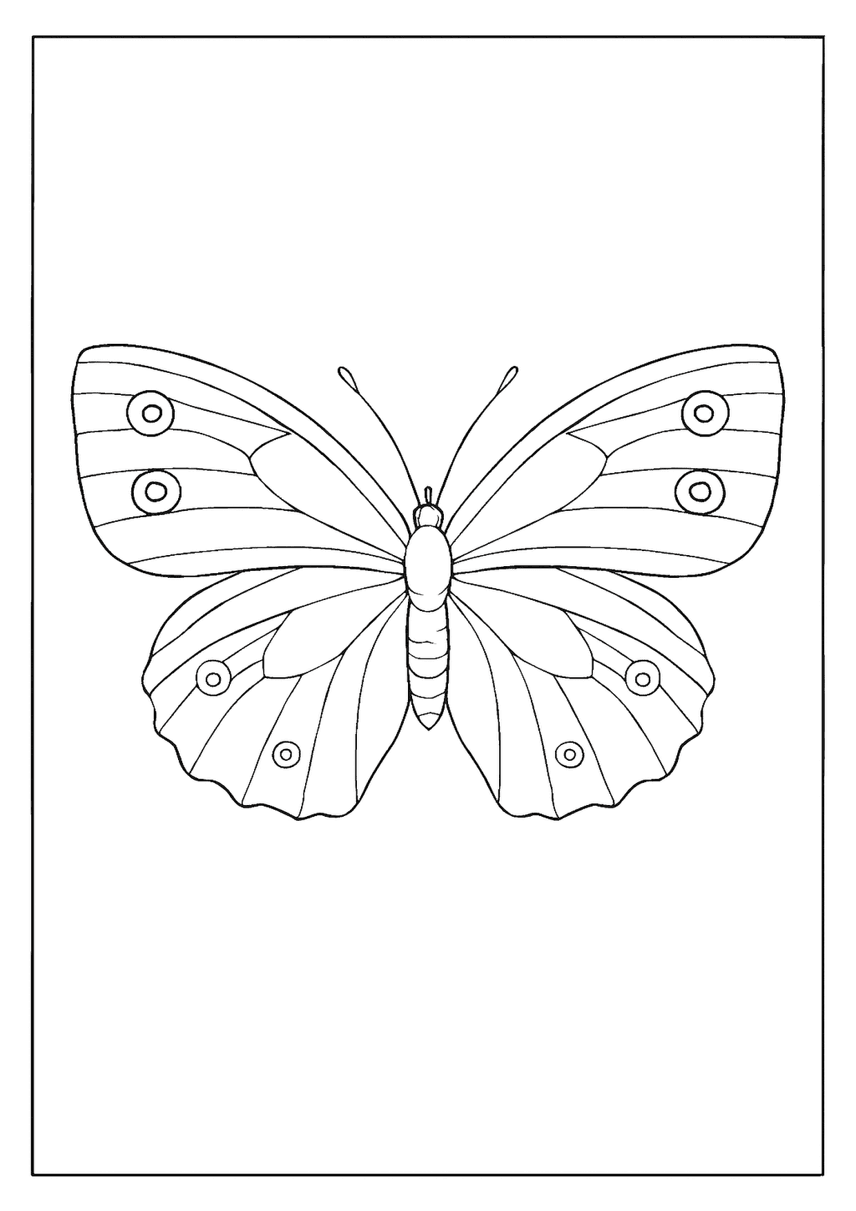 A Big-winged Common Wood-nymph Butterfly Coloring Page With Multiple, Clear Ringed Markings.