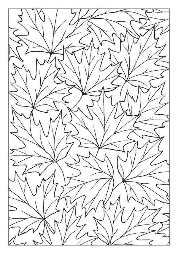 Dense maple leaf pattern coloring page with overlapping foliage.